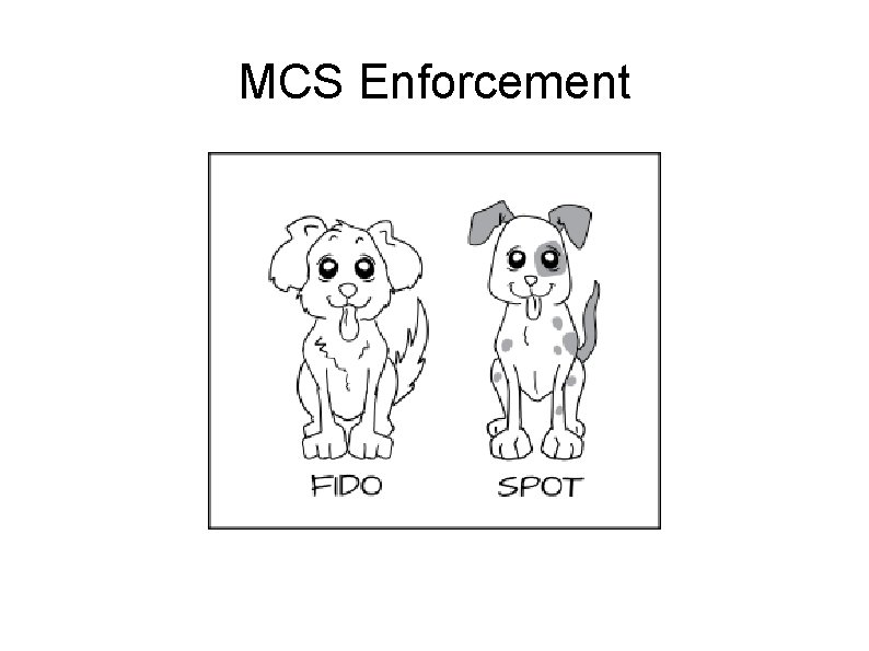 MCS Enforcement 