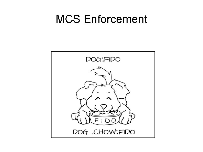 MCS Enforcement 