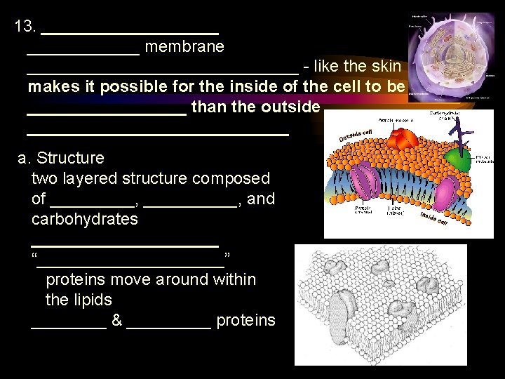 13. __________ membrane _______________ - like the skin makes it possible for the inside