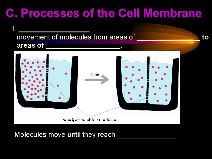 C. Processes of the Cell Membrane 1. _________ movement of molecules from areas of