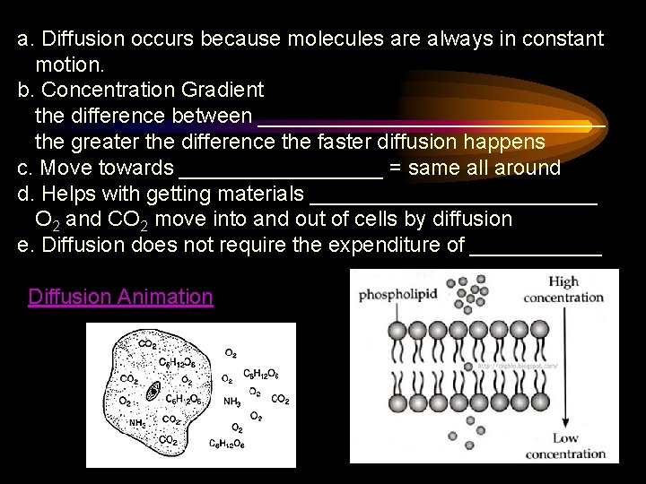 a. Diffusion occurs because molecules are always in constant motion. b. Concentration Gradient the