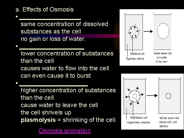 a. Effects of Osmosis • _________ same concentration of dissolved substances as the cell