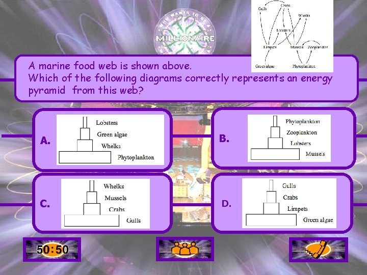 A marine food web is shown above. Which of the following diagrams correctly represents