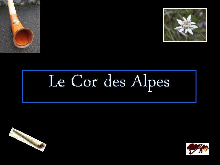 Le Cor des Alpes 