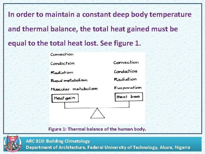 . In order to maintain a constant deep body temperature and thermal balance, the