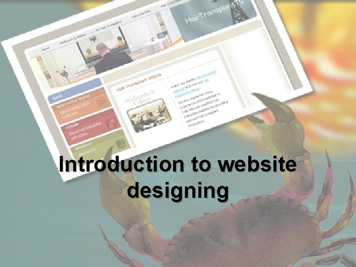 Introduction to website designing 