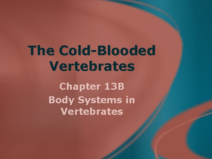 The Cold-Blooded Vertebrates Chapter 13 B Body Systems in Vertebrates 