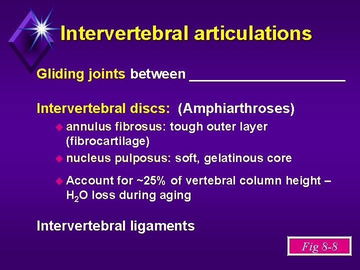 Intervertebral articulations Gliding joints between __________ Intervertebral discs: (Amphiarthroses) annulus fibrosus: tough outer layer