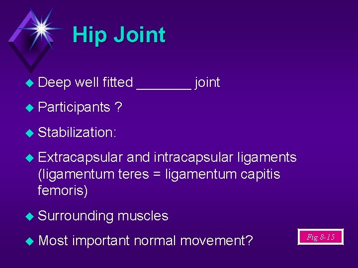 Hip Joint Deep well fitted _______ joint Participants ? Stabilization: Extracapsular and intracapsular ligaments