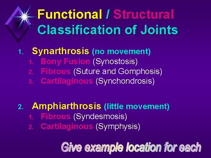 Functional / Structural Classification of Joints 1. Synarthrosis (no movement) 1. 2. 3. 2.