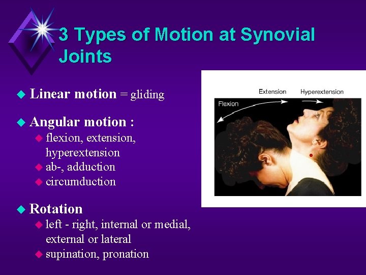 3 Types of Motion at Synovial Joints Linear motion = gliding Angular motion :