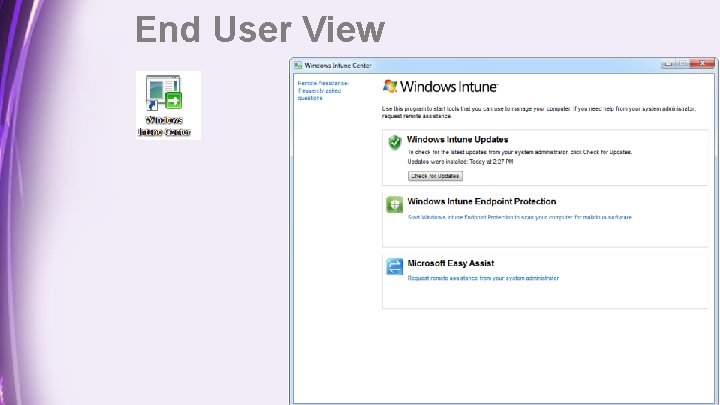 End User View 