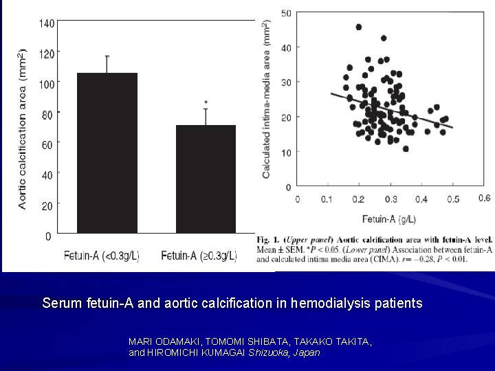 Serum fetuin-A and aortic calcification in hemodialysis patients MARI ODAMAKI, TOMOMI SHIBATA, TAKAKO TAKITA,