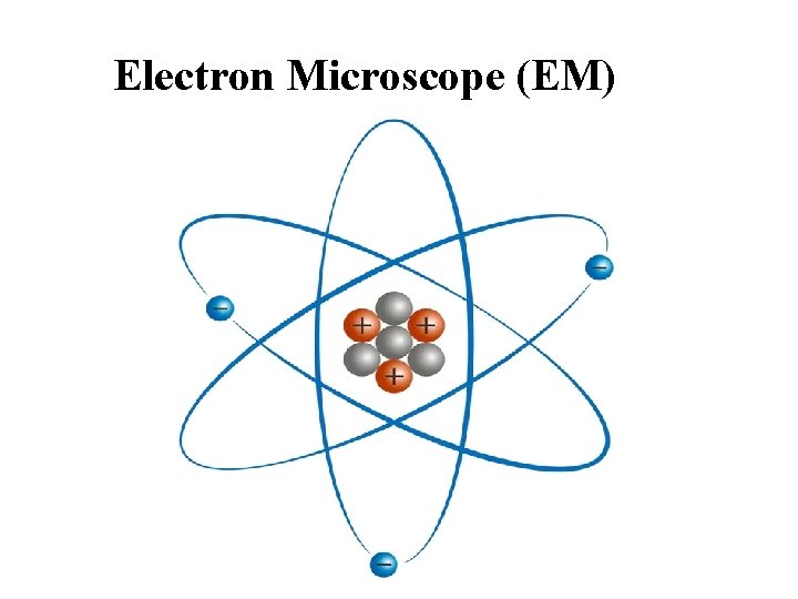 Electron Microscope (EM) 