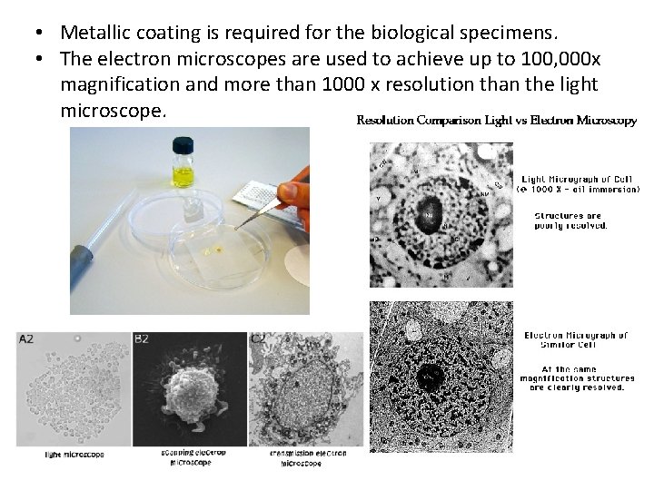  • Metallic coating is required for the biological specimens. • The electron microscopes