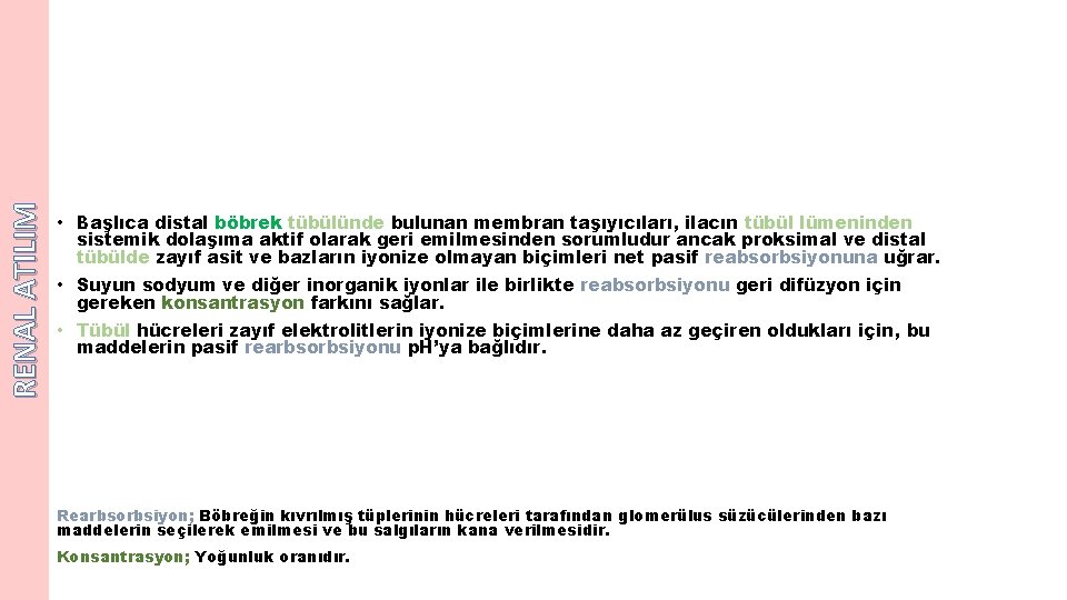 RENAL ATILIM • Başlıca distal böbrek tübülünde bulunan membran taşıyıcıları, ilacın tübül lümeninden sistemik