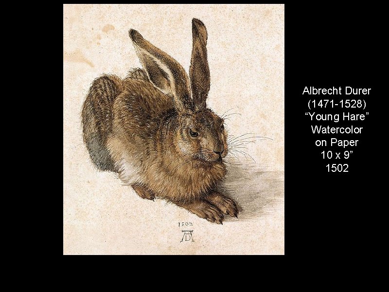 Albrecht Durer (1471 -1528) “Young Hare” Watercolor on Paper 10 x 9” 1502 