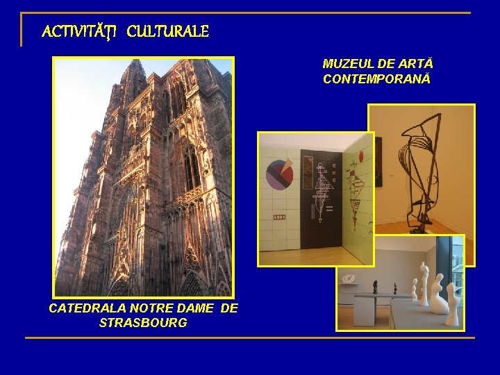 ACTIVITĂŢI CULTURALE MUZEUL DE ARTĂ CONTEMPORANĂ CATEDRALA NOTRE DAME DE STRASBOURG 