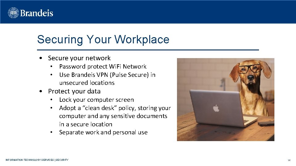 Securing Your Workplace • Secure your network • Password protect Wi. Fi Network •