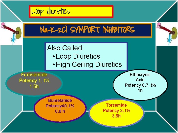 Loop diuretics Na-K-2 Cl SYMPORT INHIBITORS Also Called: • Loop Diuretics • High Ceiling