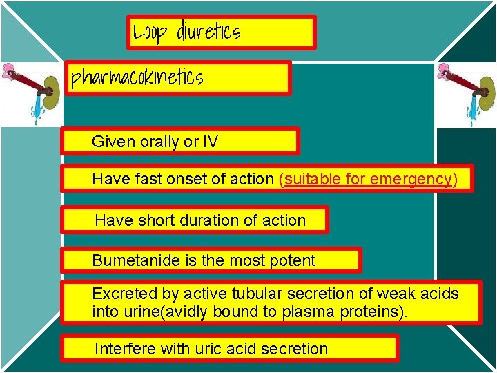 Loop diuretics pharmacokinetics Given orally or IV Have fast onset of action (suitable for