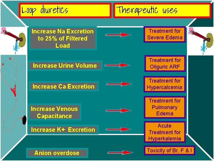 Loop diuretics Increase Na Excretion to 25% of Filtered Load Therapeutic uses Treatment for