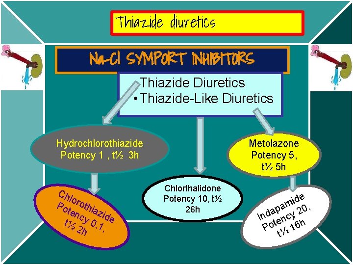 Thiazide diuretics Na-Cl SYMPORT INHIBITORS Thiazide Diuretics • Thiazide-Like Diuretics Metolazone Potency 5, t½