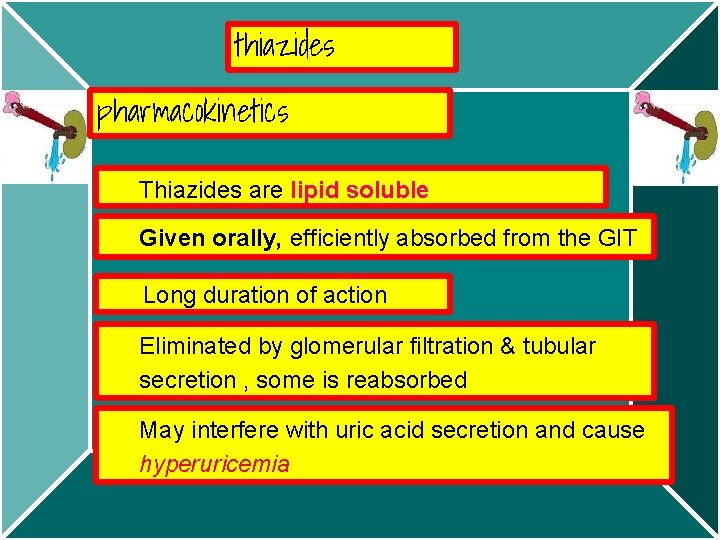 thiazides pharmacokinetics Thiazides are lipid soluble Given orally, efficiently absorbed from the GIT Long