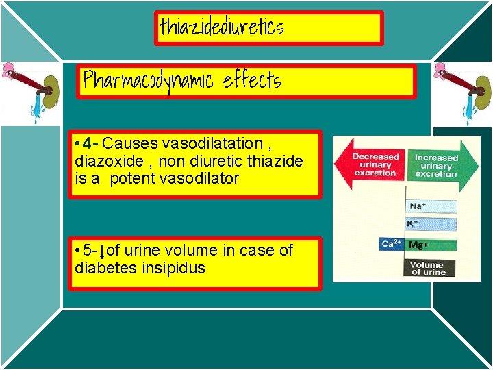thiazidediuretics Pharmacodynamic effects • 4 - Causes vasodilatation , diazoxide , non diuretic thiazide