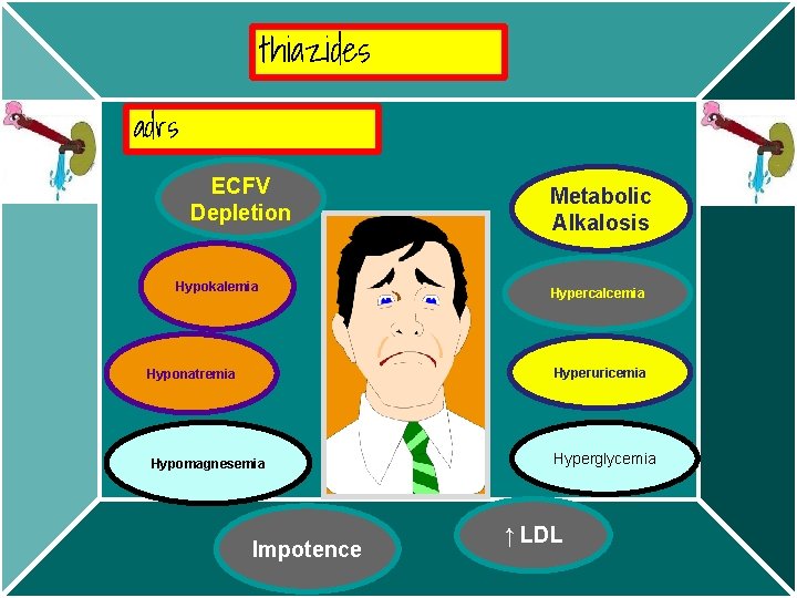 thiazides adrs ECFV Depletion Hypokalemia Metabolic Alkalosis Hypercalcemia Hyponatremia Hyperuricemia Hypomagnesemia Hyperglycemia Impotence ↑