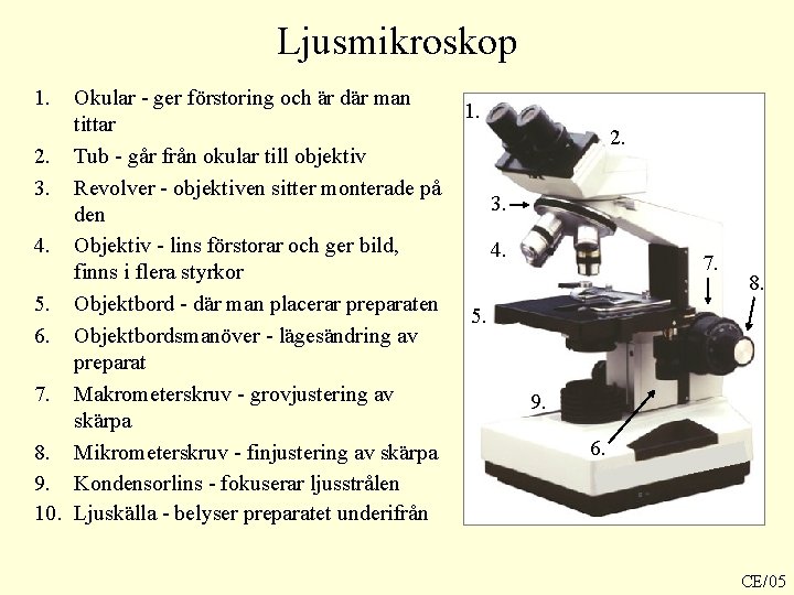Ljusmikroskop 1. Okular - ger förstoring och är där man tittar 2. Tub - Ljusmikroskop 1. Okular - ger förstoring och är där man tittar 2. Tub -