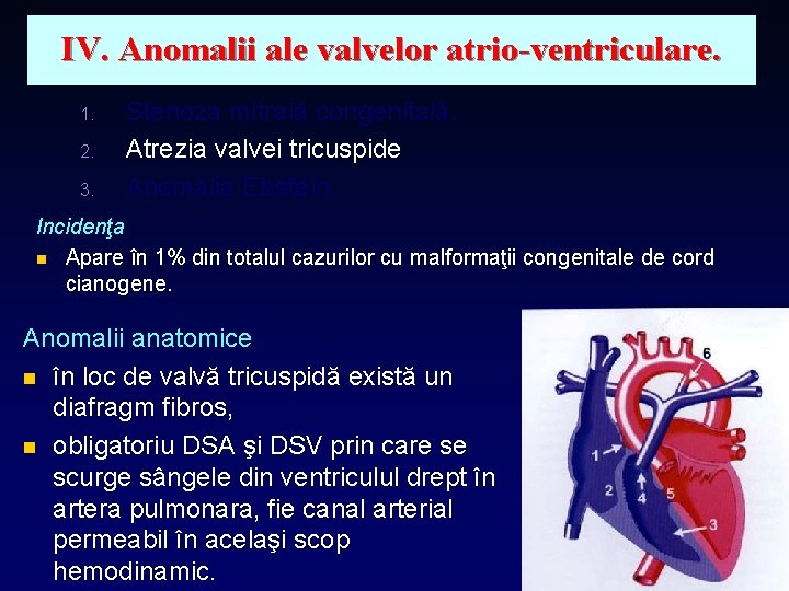 IV. Anomalii ale valvelor atrio-ventriculare. 1. 2. 3. Stenoza mitrală congenitală. Atrezia valvei tricuspide