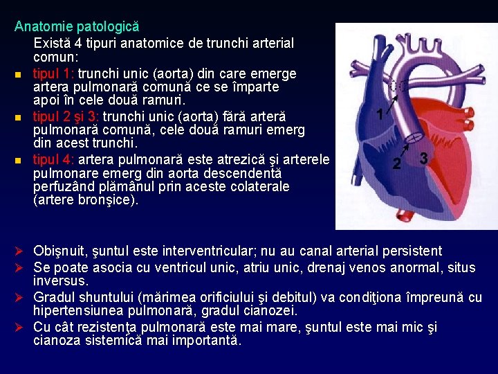 Anatomie patologică Există 4 tipuri anatomice de trunchi arterial comun: n tipul 1: trunchi