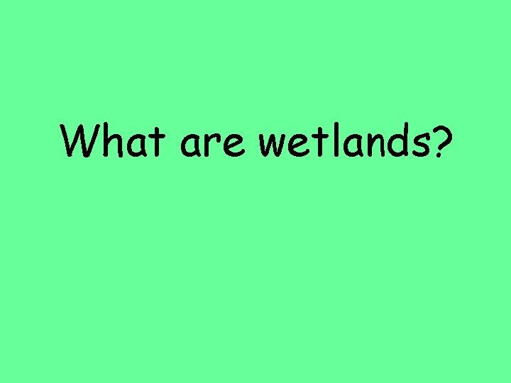 What are wetlands? 