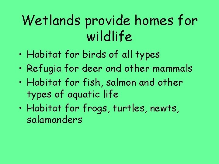 Wetlands provide homes for wildlife • Habitat for birds of all types • Refugia