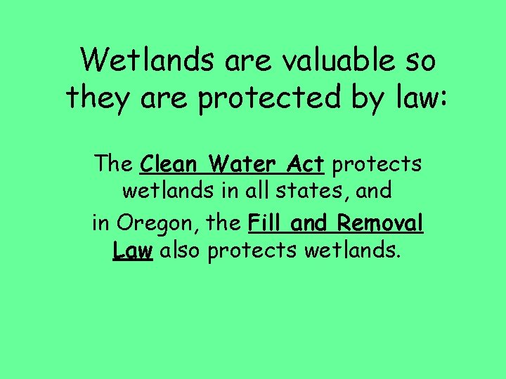 Wetlands are valuable so they are protected by law: The Clean Water Act protects