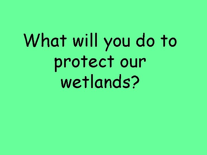 What will you do to protect our wetlands? 