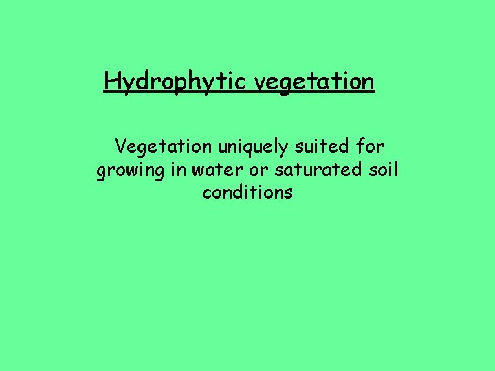 Hydrophytic vegetation Vegetation uniquely suited for growing in water or saturated soil conditions 