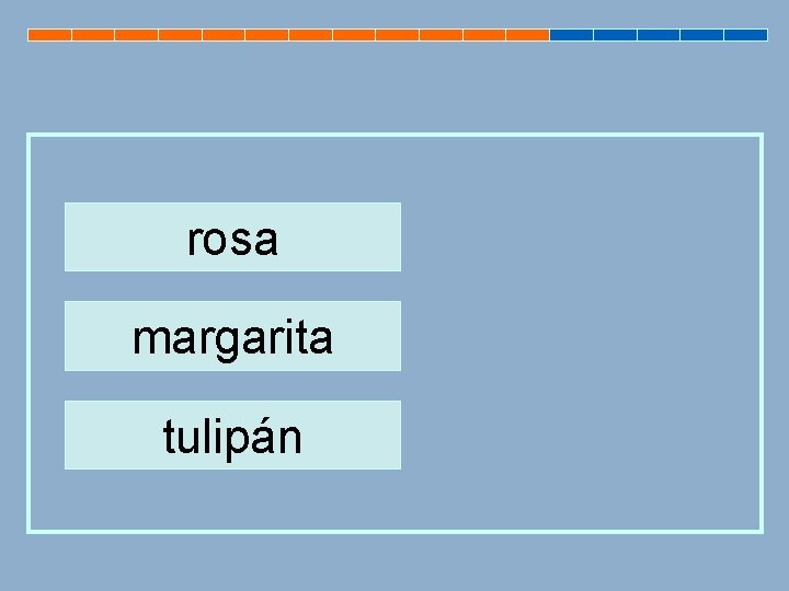 rosa margarita tulipán 