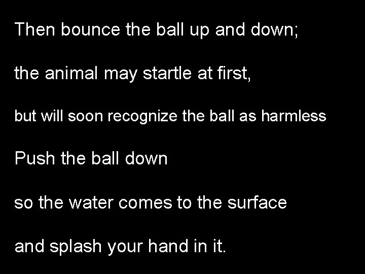 Then bounce the ball up and down; the animal may startle at first, but