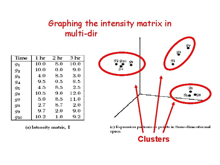 Graphing the intensity matrix in multi-dimensional space Clusters 