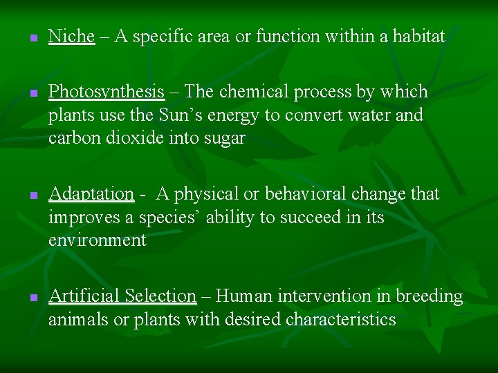 n n Niche – A specific area or function within a habitat Photosynthesis –