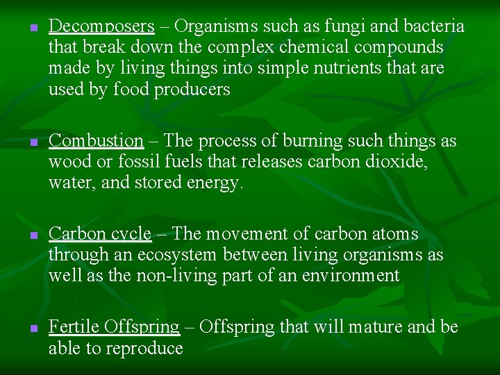 n n Decomposers – Organisms such as fungi and bacteria that break down the