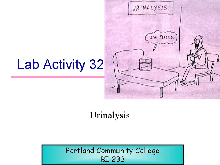 Lab Activity 32 Urinalysis Portland Community College BI 233 