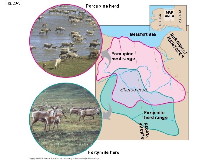 Porcupine herd range T ES ES HW RI RT ITO NO RR TE Beaufort