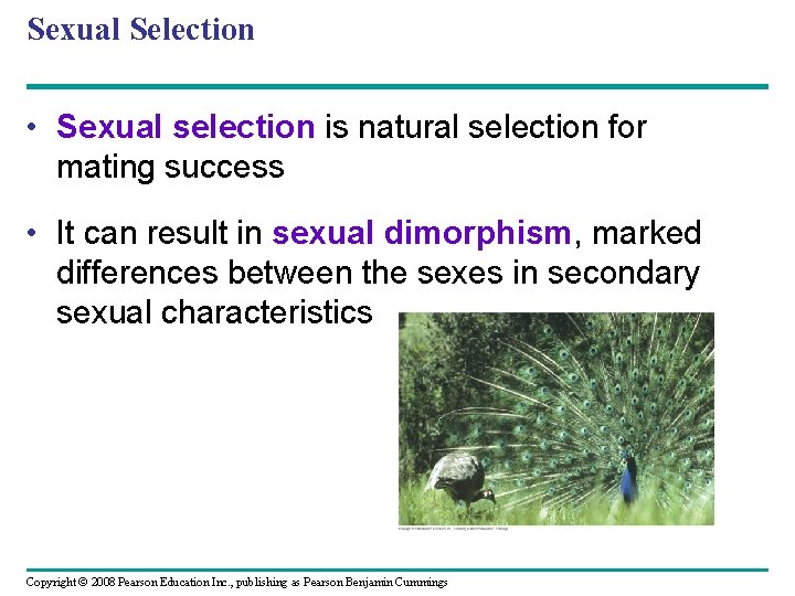 Sexual Selection • Sexual selection is natural selection for mating success • It can