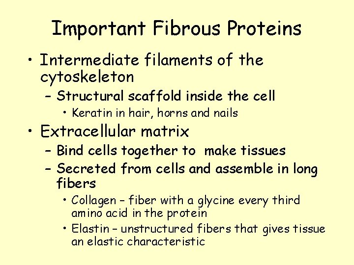 Important Fibrous Proteins • Intermediate filaments of the cytoskeleton – Structural scaffold inside the Important Fibrous Proteins • Intermediate filaments of the cytoskeleton – Structural scaffold inside the