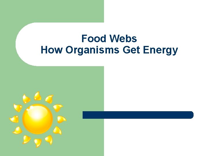 Food Webs How Organisms Get Energy 