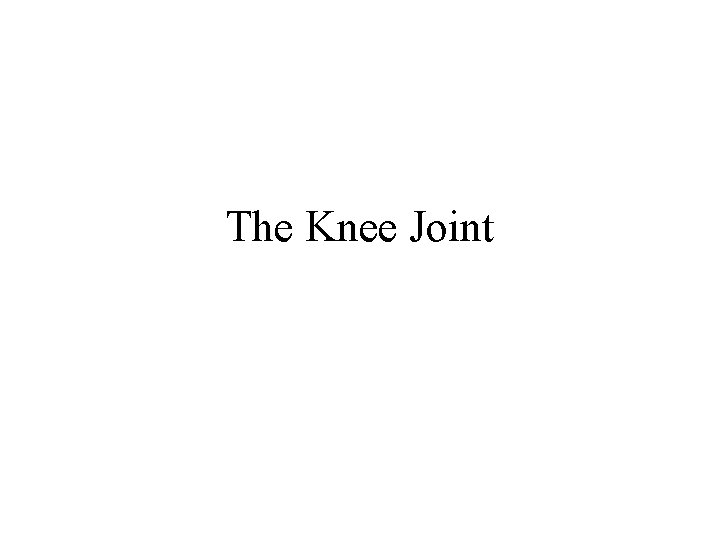 The Knee Joint 