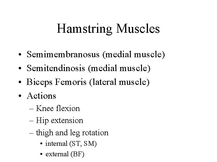 Hamstring Muscles • • Semimembranosus (medial muscle) Semitendinosis (medial muscle) Biceps Femoris (lateral muscle)